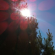 Image for article titled Shooting Challenge: Cellphone Gallery Part 4